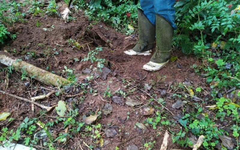 Cães são encontrados em situação de maus-tratos em Parobé