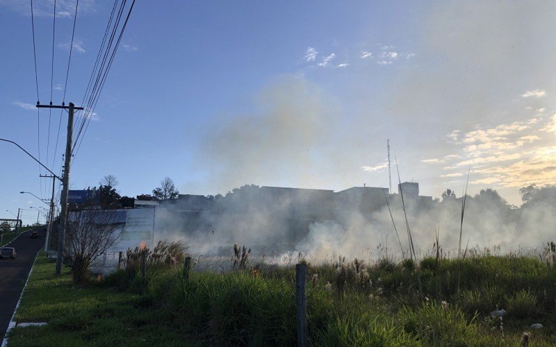 Incêndio atinge área de vegetação próximo a BR-116
