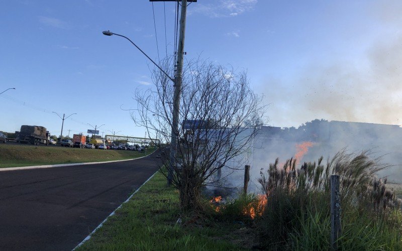 Incêndio atinge área de vegetação próximo a BR-116