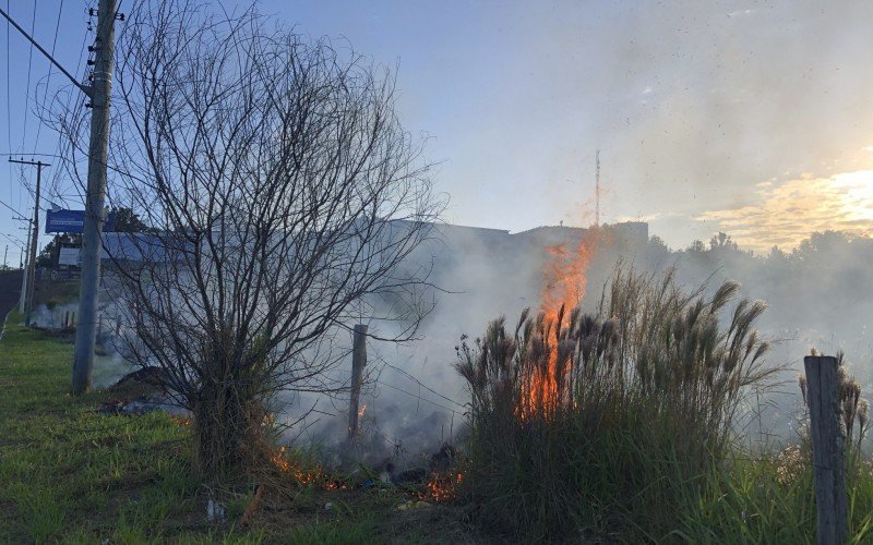 Incêndio atinge área de vegetação próximo a BR-116
