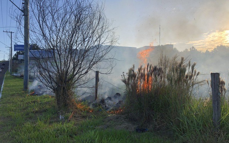 Incêndio atinge área de vegetação próximo a BR-116