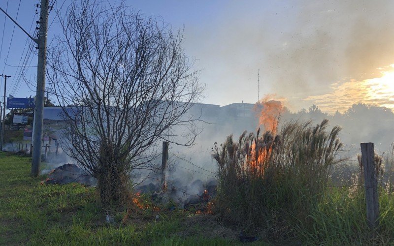 Incêndio atinge área de vegetação próximo a BR-116