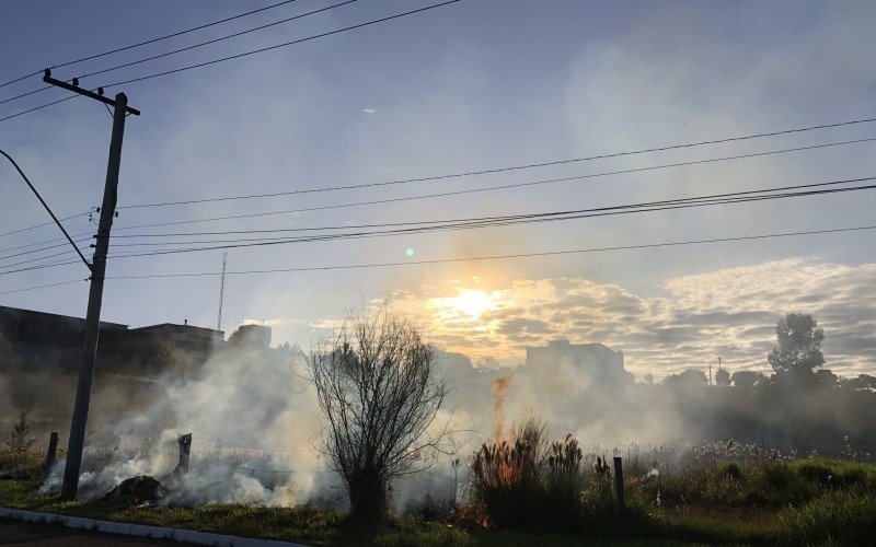 Incêndio atinge área de vegetação próximo a BR-116