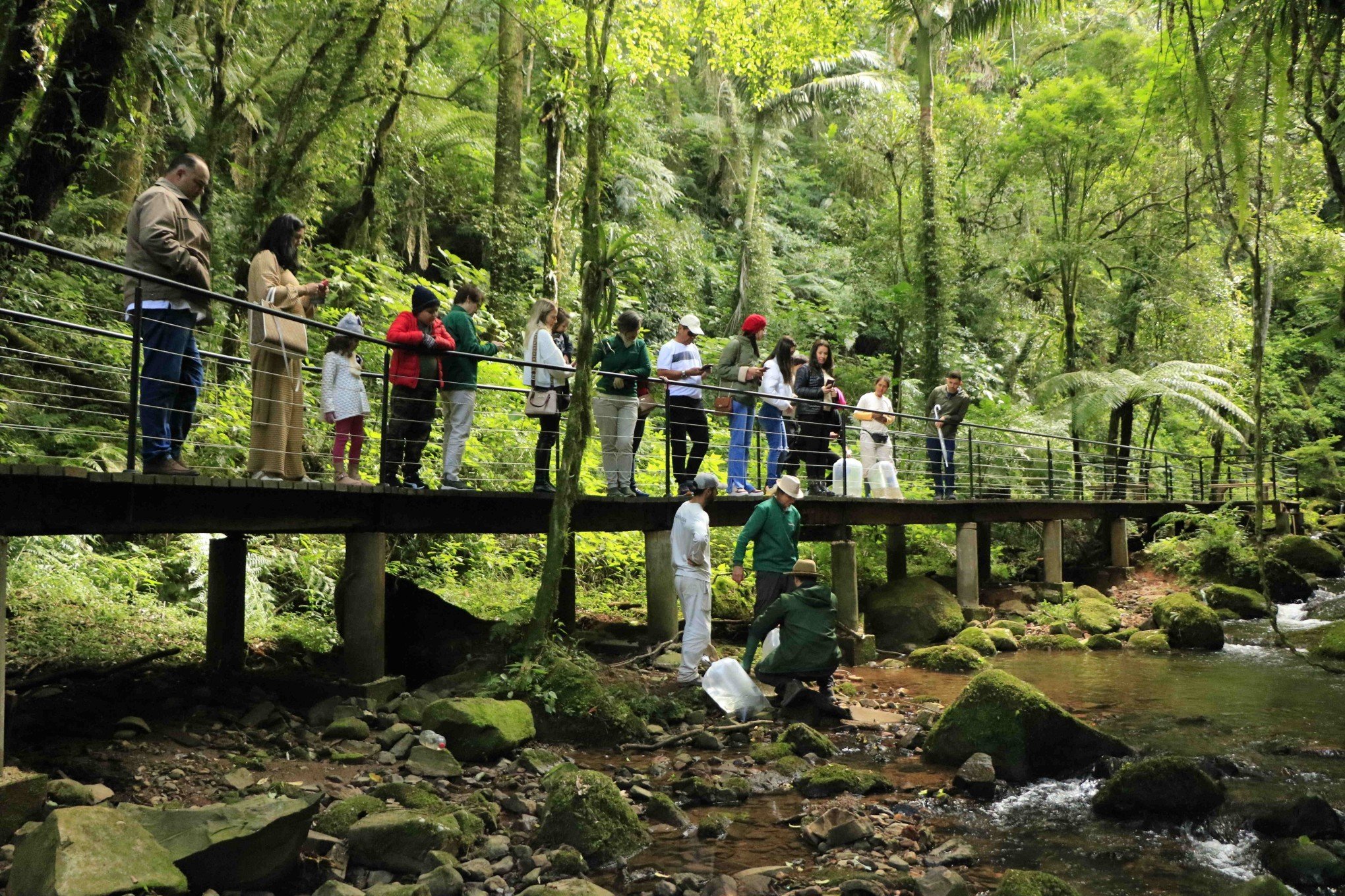 Parque de natureza em Gramado realiza ação de preservação ambiental