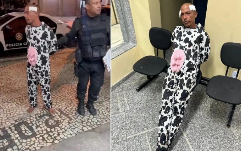 Rio de Janeiro: homem vestido de vaca vai parar na delegacia