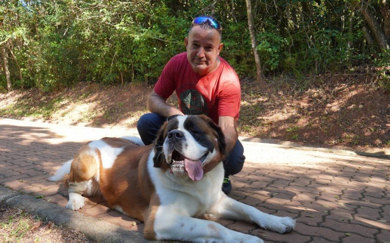 O São Bernardo Toretto chamou a atenção pelo tamanho