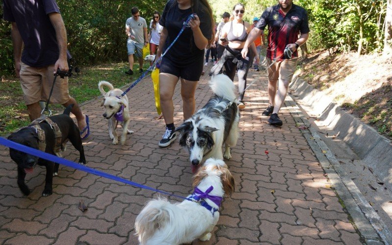 Cãominhada reúne tutores e pets para um passeio em meio à natureza