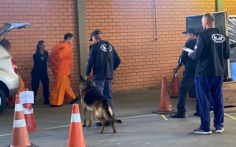 Torneio de Cães de Intervenção ocorreu neste final de semana em Gramado