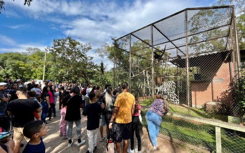 AniversÃ¡rio 61 anos ZoolÃ³gico de Sapucaia 