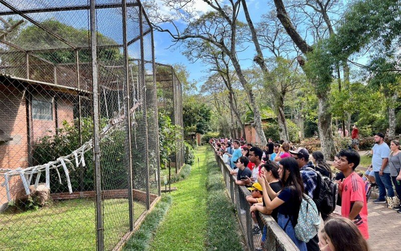 Com ingresso solidário, Zoo de Sapucaia do Sul atrai grande público para celebrar 61 anos