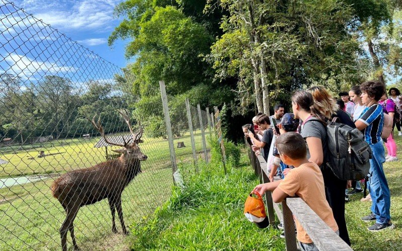 AniversÃ¡rio 61 anos ZoolÃ³gico de Sapucaia 