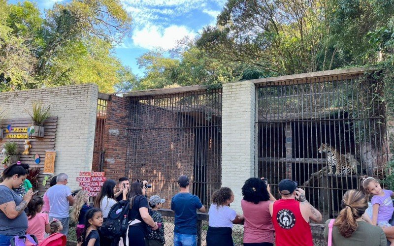 AniversÃ¡rio 61 anos ZoolÃ³gico de Sapucaia 