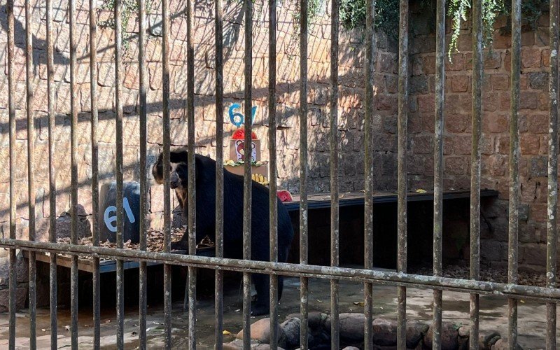 AniversÃ¡rio 61 anos ZoolÃ³gico de Sapucaia 