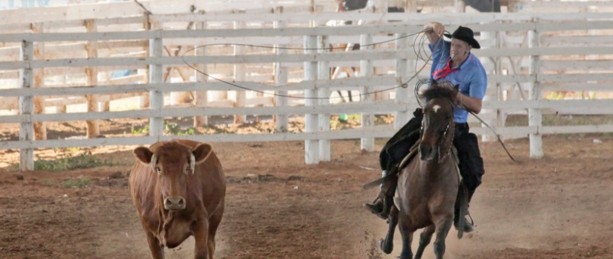 Após três anos, Rodeio Campeiro volta ao 1º de maio, data tradicional da festa em Canoas