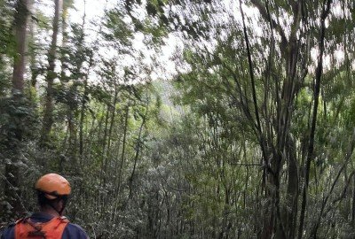 Bombeiros buscam por idoso desaparecido no interior de Gramado, com apoio de cão