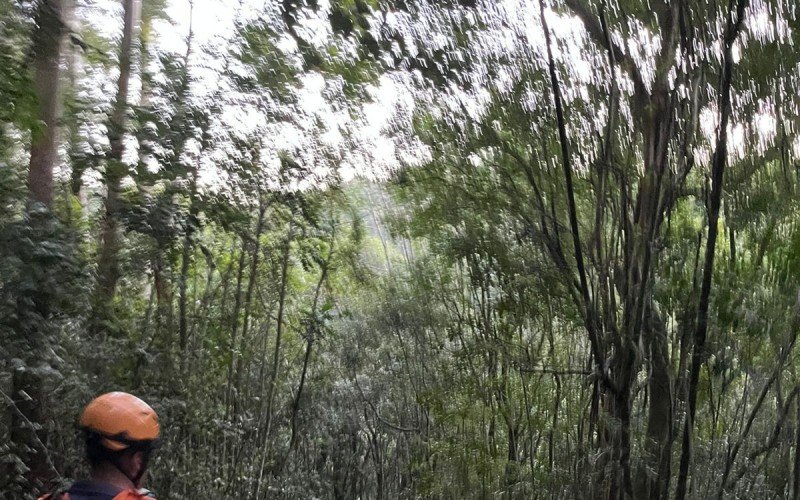 Bombeiros buscam por idoso desaparecido no interior de Gramado, com apoio de cão