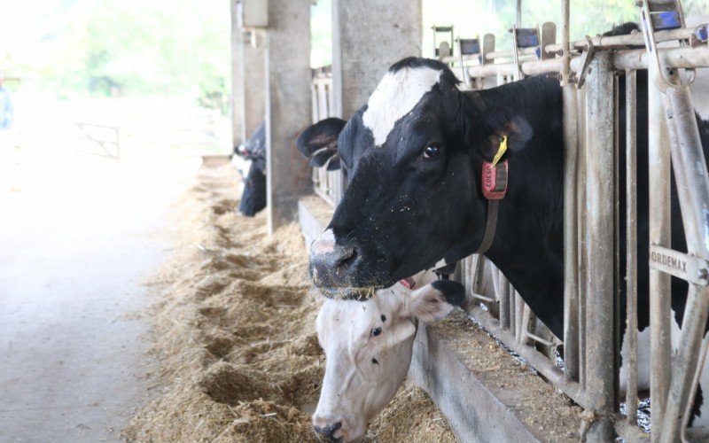 Agronegócio é o setor que alavanca o PIB do RS neste primeiro semestre de 2025 | abc+