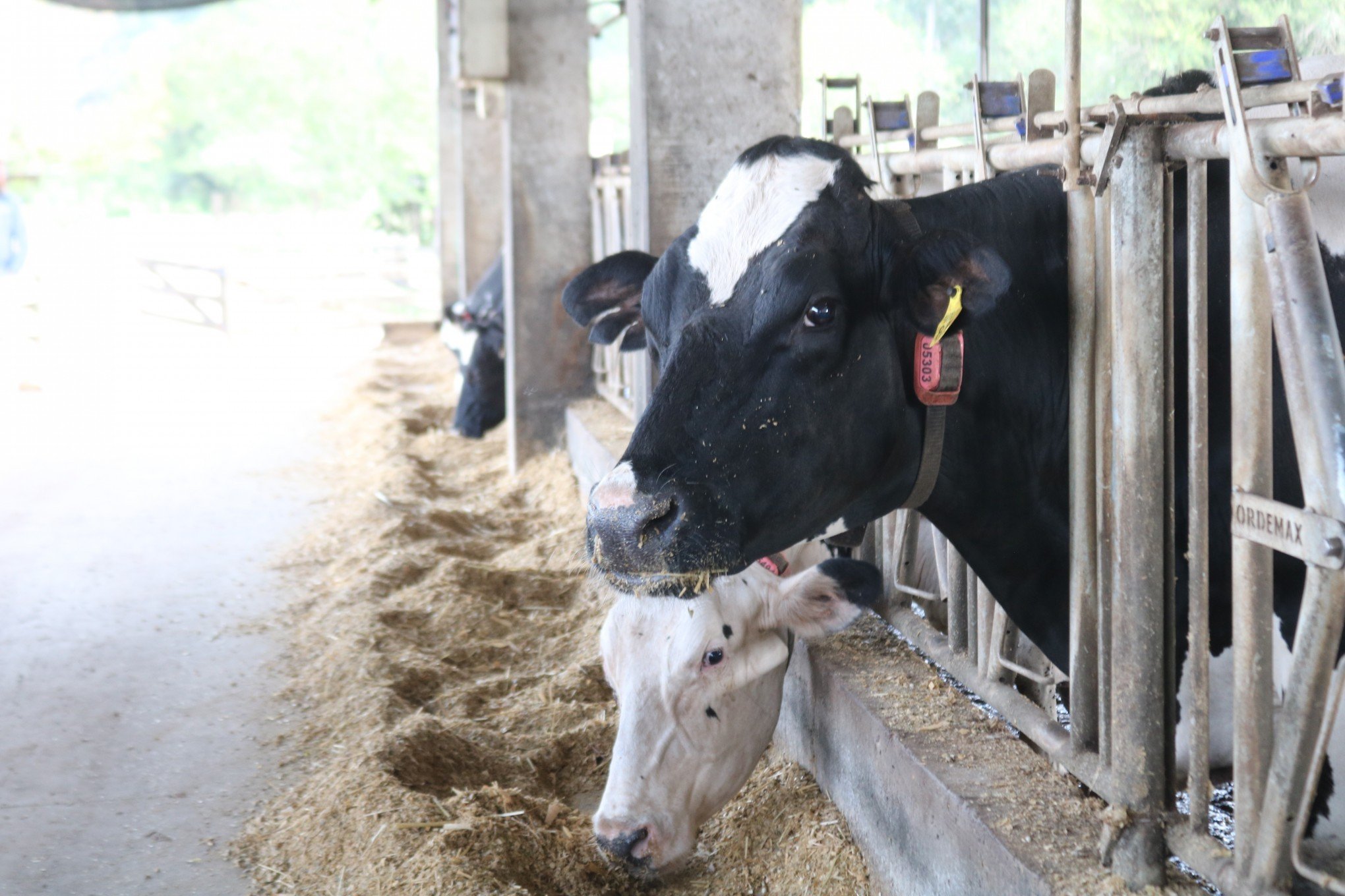 Agro puxa a fila entre os setores e PIB do RS sobe 1,3% no primeiro semestre