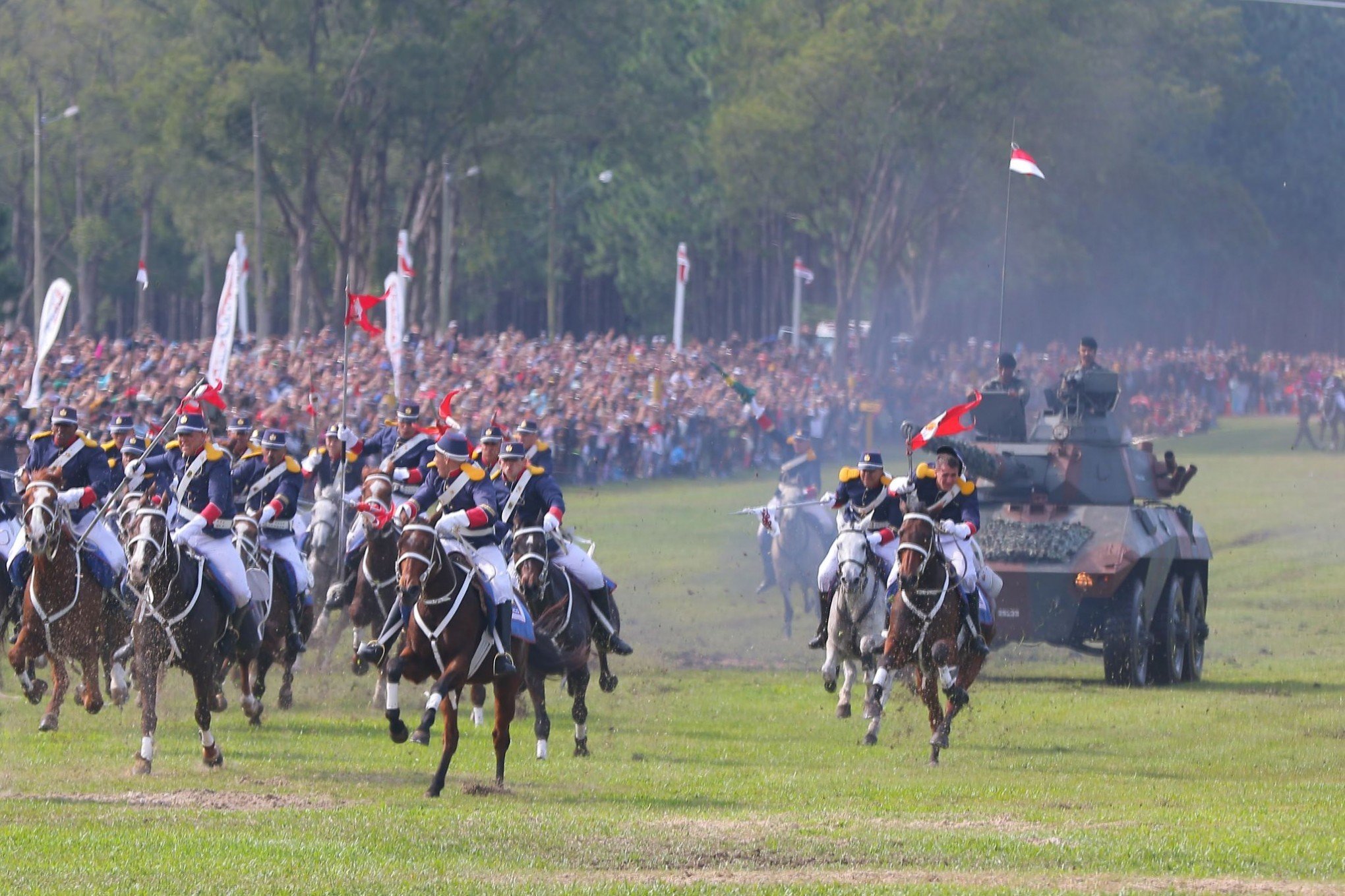 Cavalaria, Exército Brasileiro