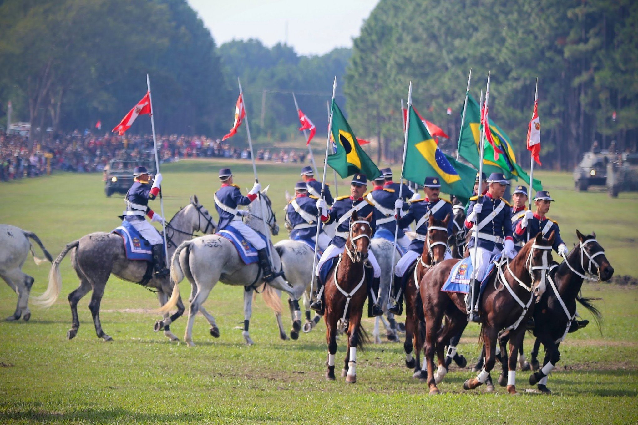 Simulação de guerra com cavalaria, blindados e aeronaves é atração neste  sábado - Região - Jornal NH