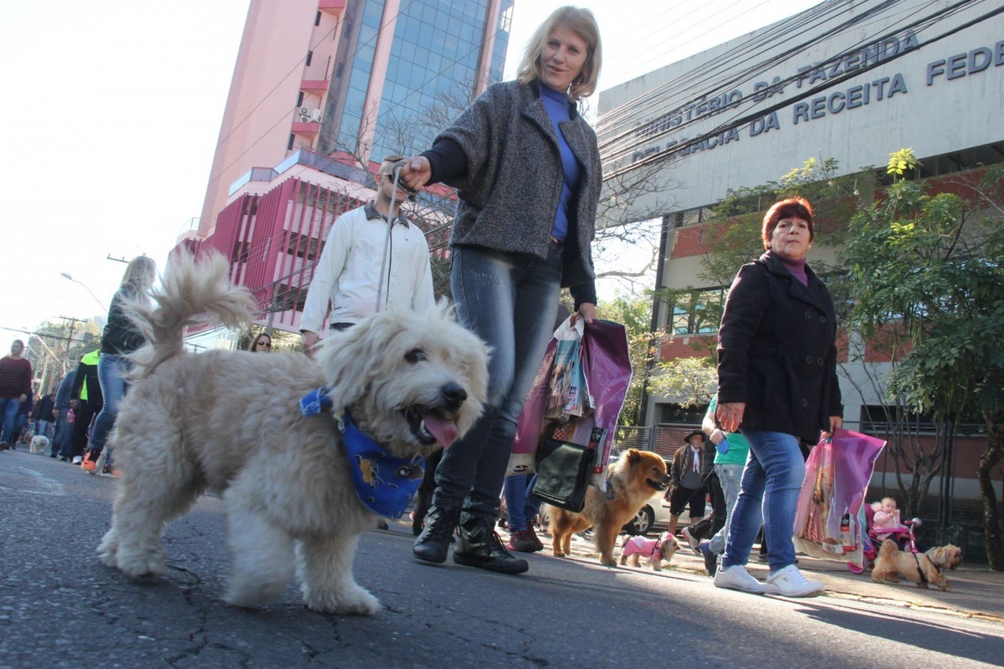 Cãominhada VS vai agitar o domingo em São Leopoldo