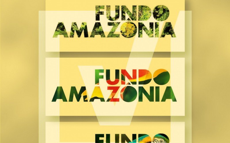 Saiba o que é e como funciona o Fundo Amazônia, alvo de desinformação nas redes
