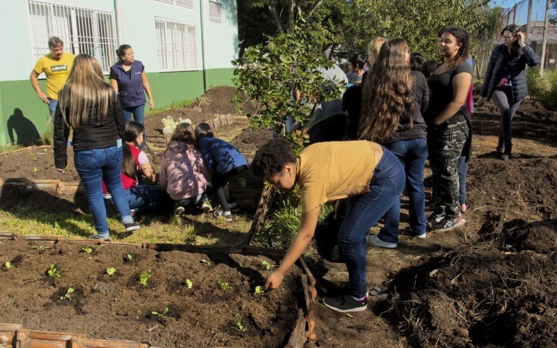 Curso de hortaliças em Canoas