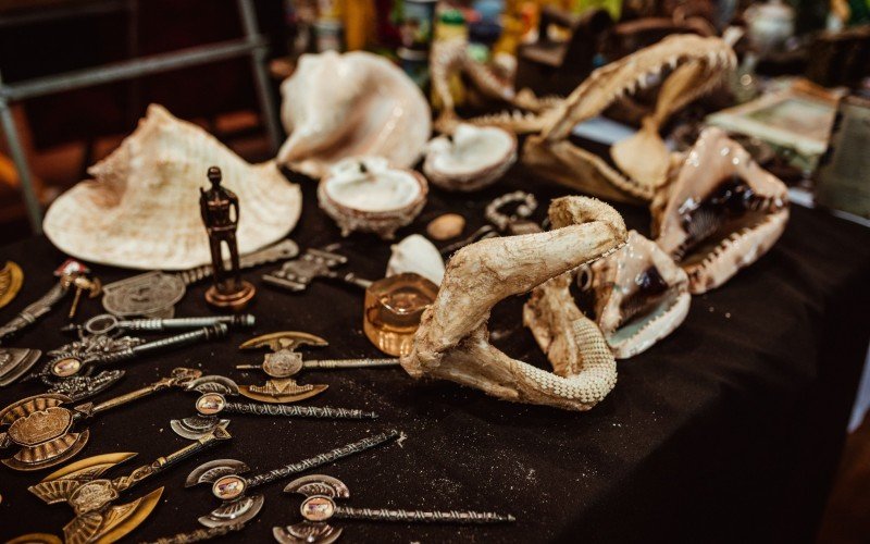 8Âª Colecionarte â€“ ExposiÃ§Ã£o de ColeÃ§Ãµes reÃºne mais de 200 coleÃ§Ãµes com itens raros