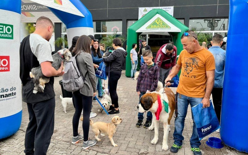 Cãominhada aconteceu na manhã deste domingo (21), em São Leopoldo