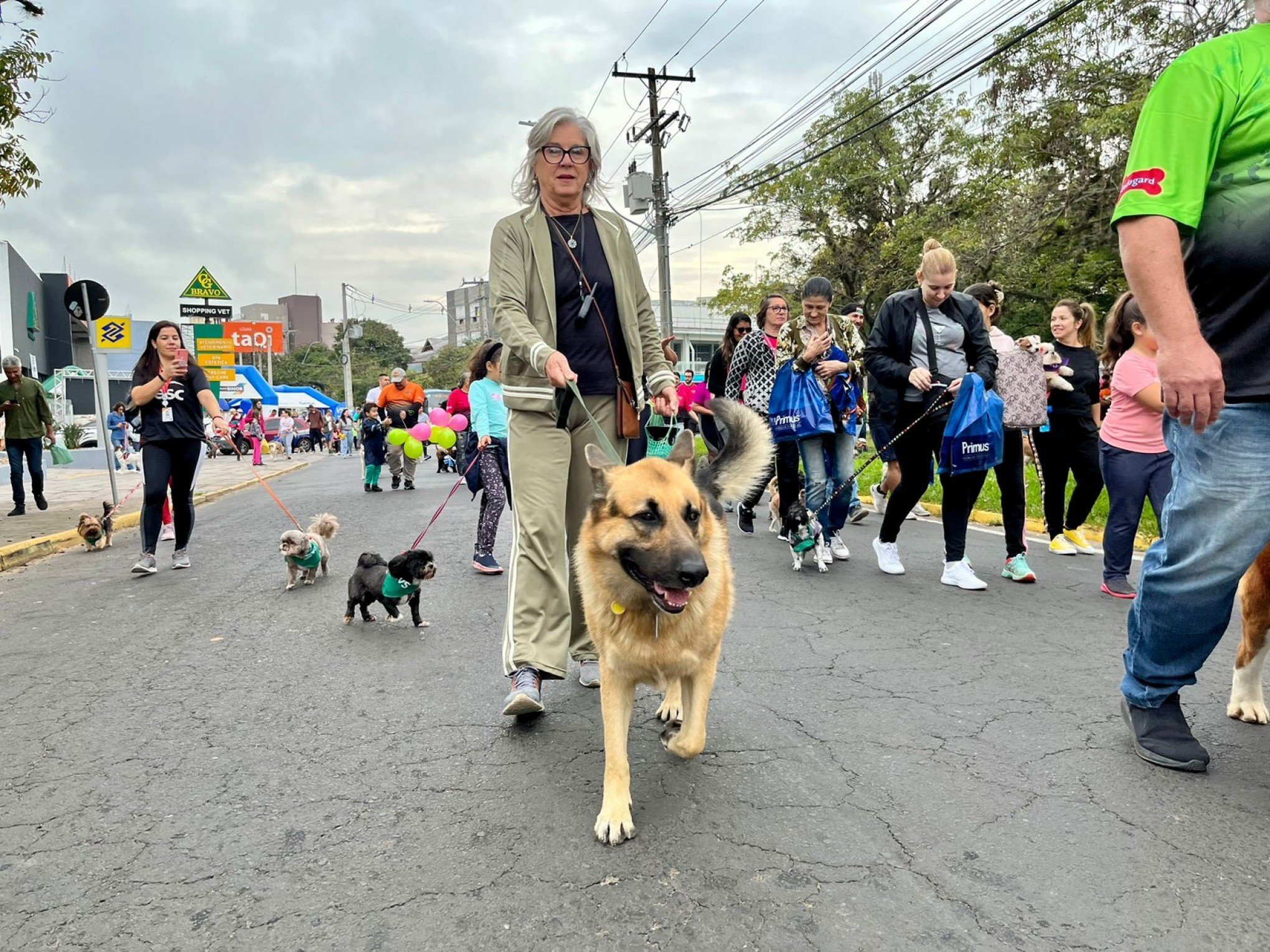 Bruno diferente mais um dia da sua caminhada para nos animar