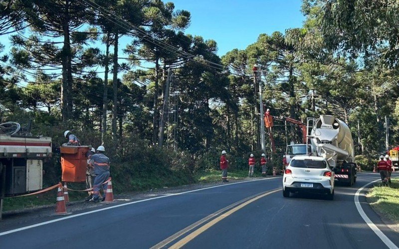 RGE realiza trabalhos em postes e na rede de energia na RS-235, em Gramado