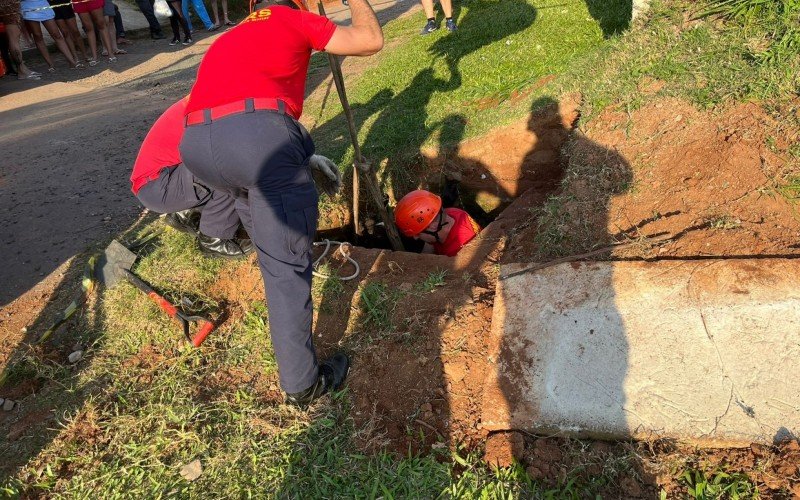 Égua caiu em bueiro no bairro Vargas na tarde de terça-feira (23)