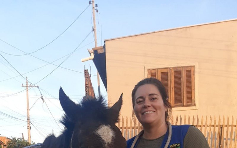 Égua caiu em bueiro no bairro Vargas na tarde de terça-feira (23)