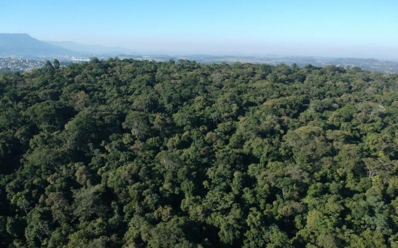 CATÁSTROFE NO RS: Tragédia climática obriga governos a adiarem programação da Semana do Meio Ambiente | abc+