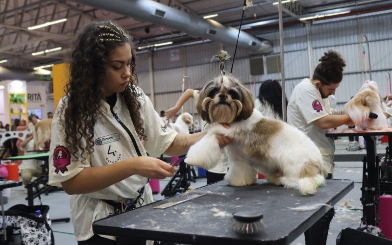 Em 2023, feira ocorreu em junho  | abc+