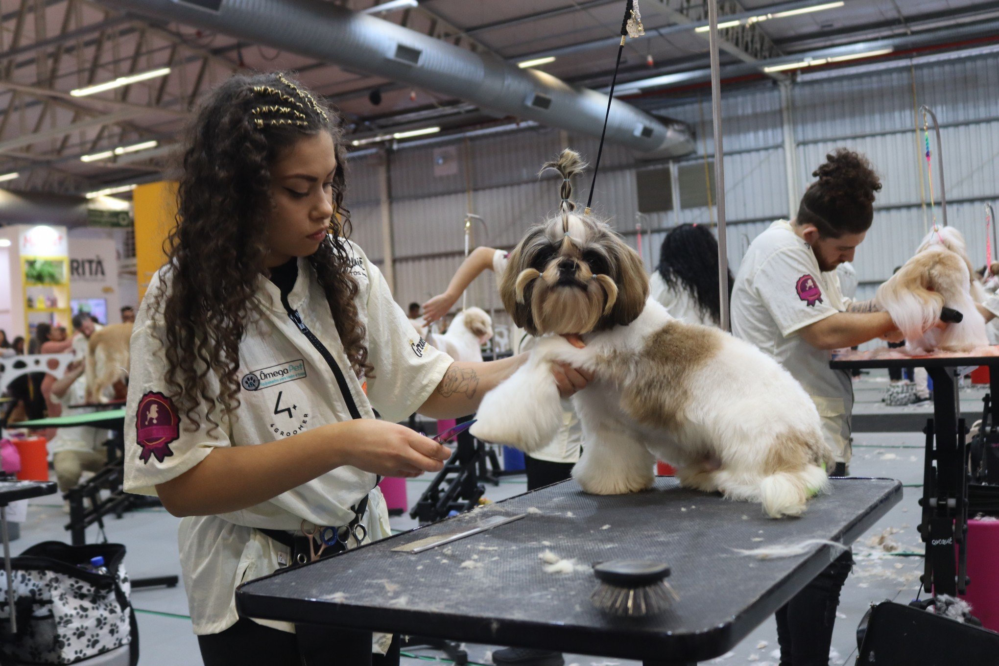 Fenac prepara realização de feira pet; veja quando será e detalhes do evento