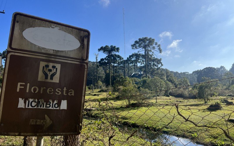 Floresta Nacional de Canela