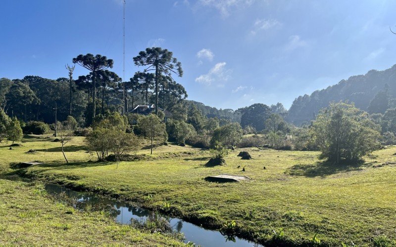 Floresta Nacional de Canela