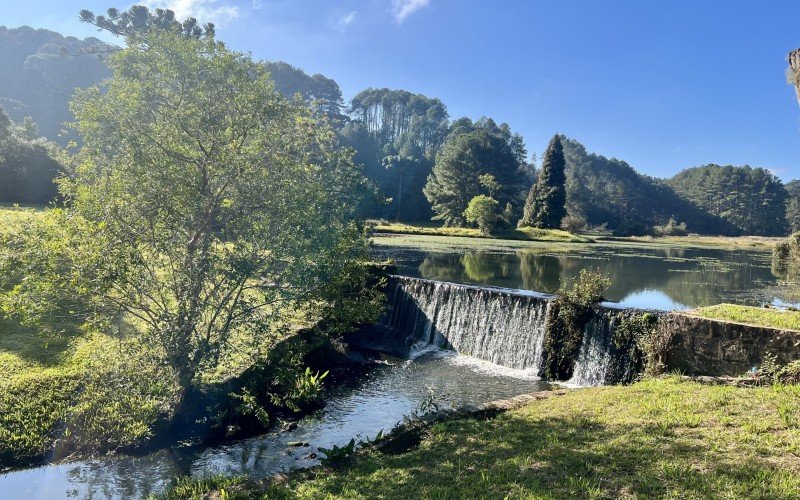 Atualmente, gestão da Floresta Nacional de Canela é feita pelo ICMBio 