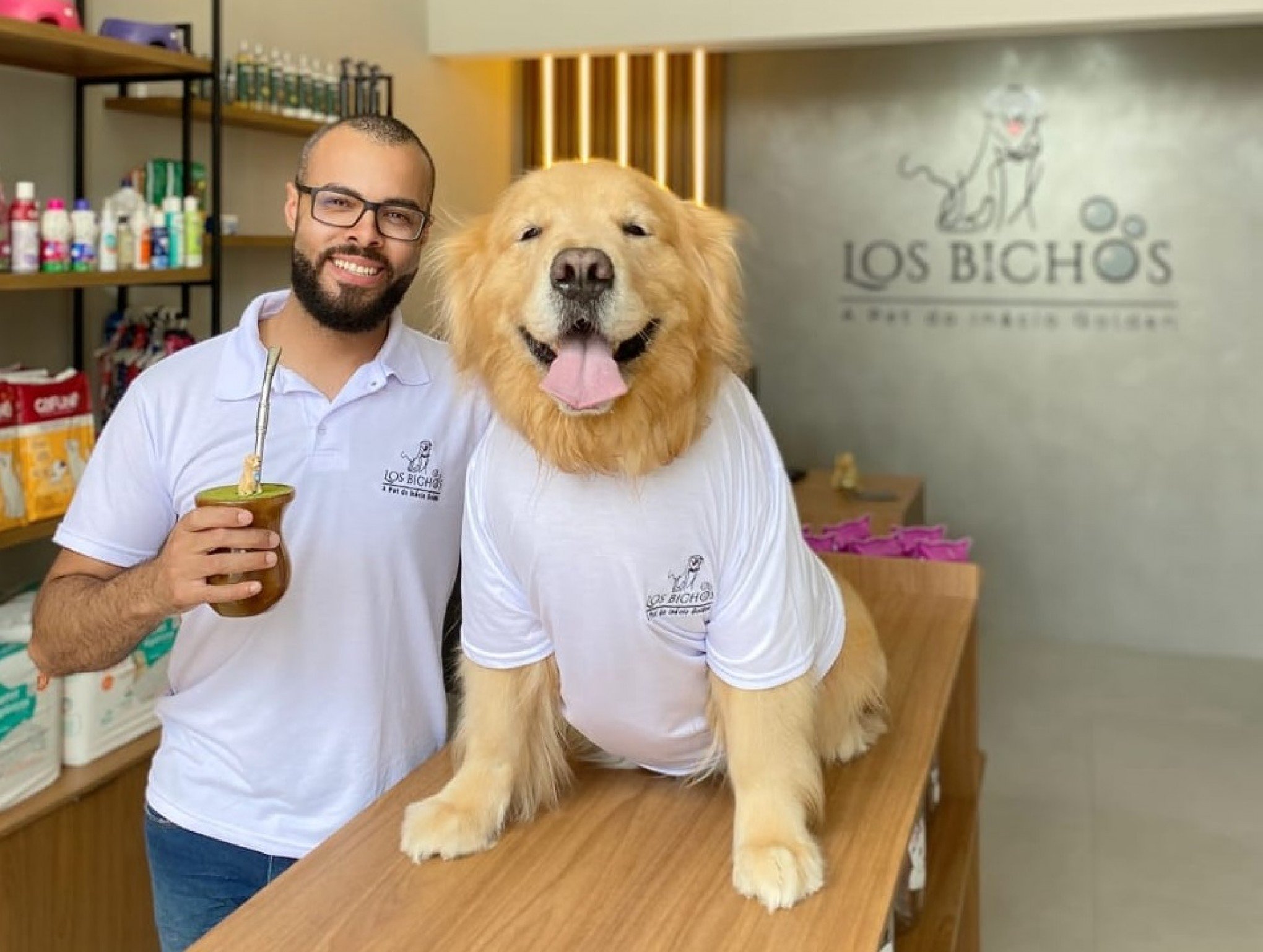 tem cachorro secreto em contador de tempo; saiba como acessar -  Época Negócios