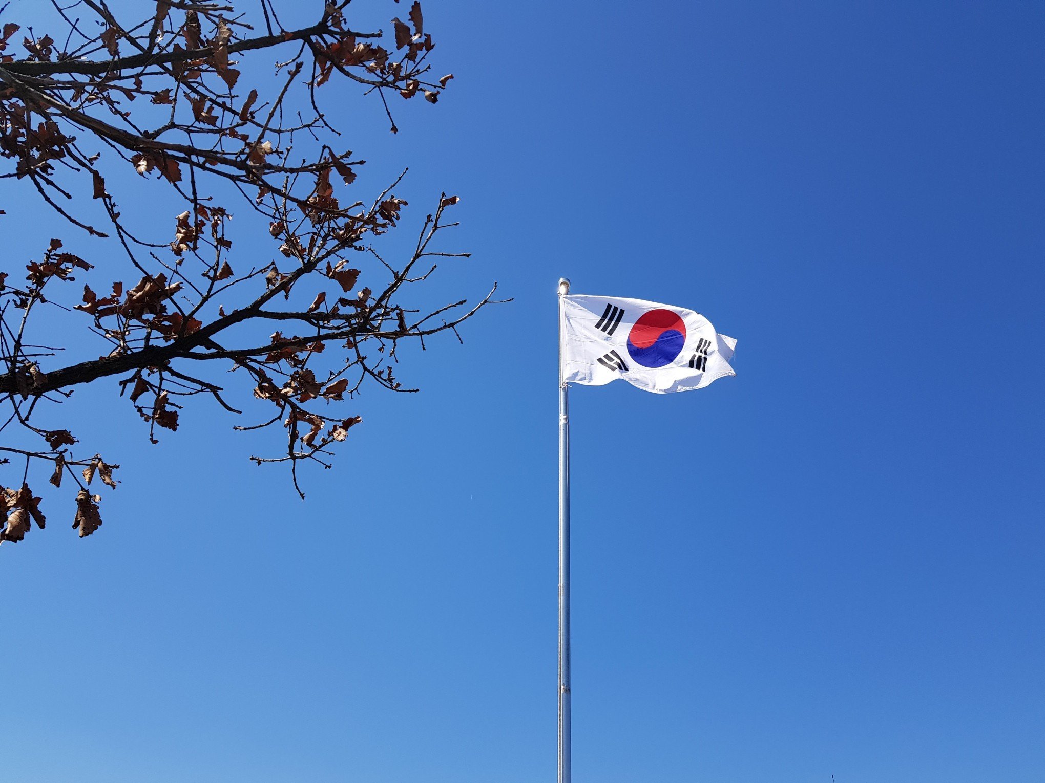 Conflito na fronteira com tiros de advertência causa nova tensão entre Coreias