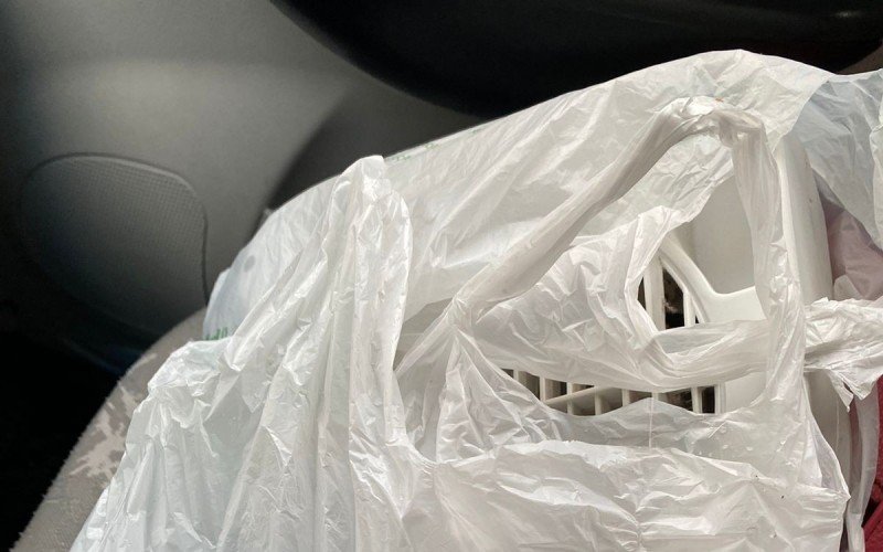 Lei que proíbe distribuição gratuita de sacolas plásticas em Gramado entra em vigor na terça-feira; saiba mais