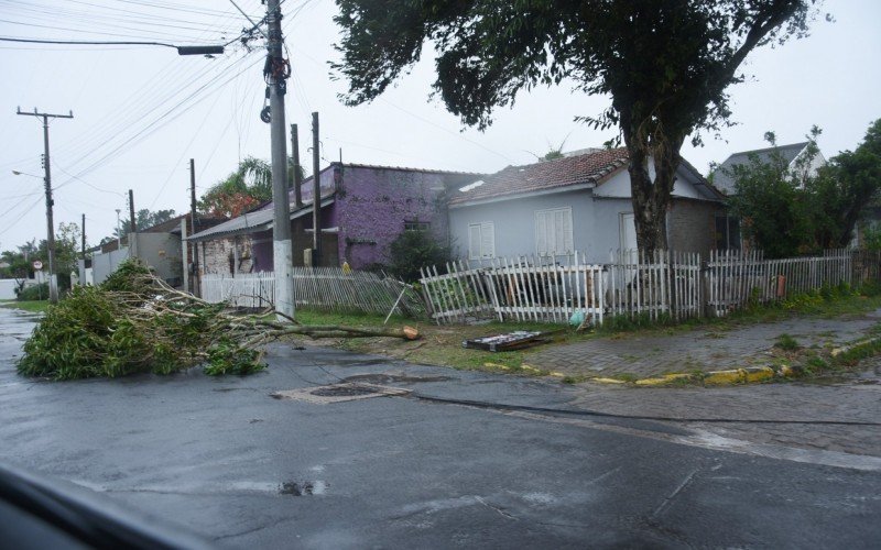 Ventos afetam  funcionamento de semáforos em Imbé, onde também há quedas de árvores, fios e postes | Jornal NH