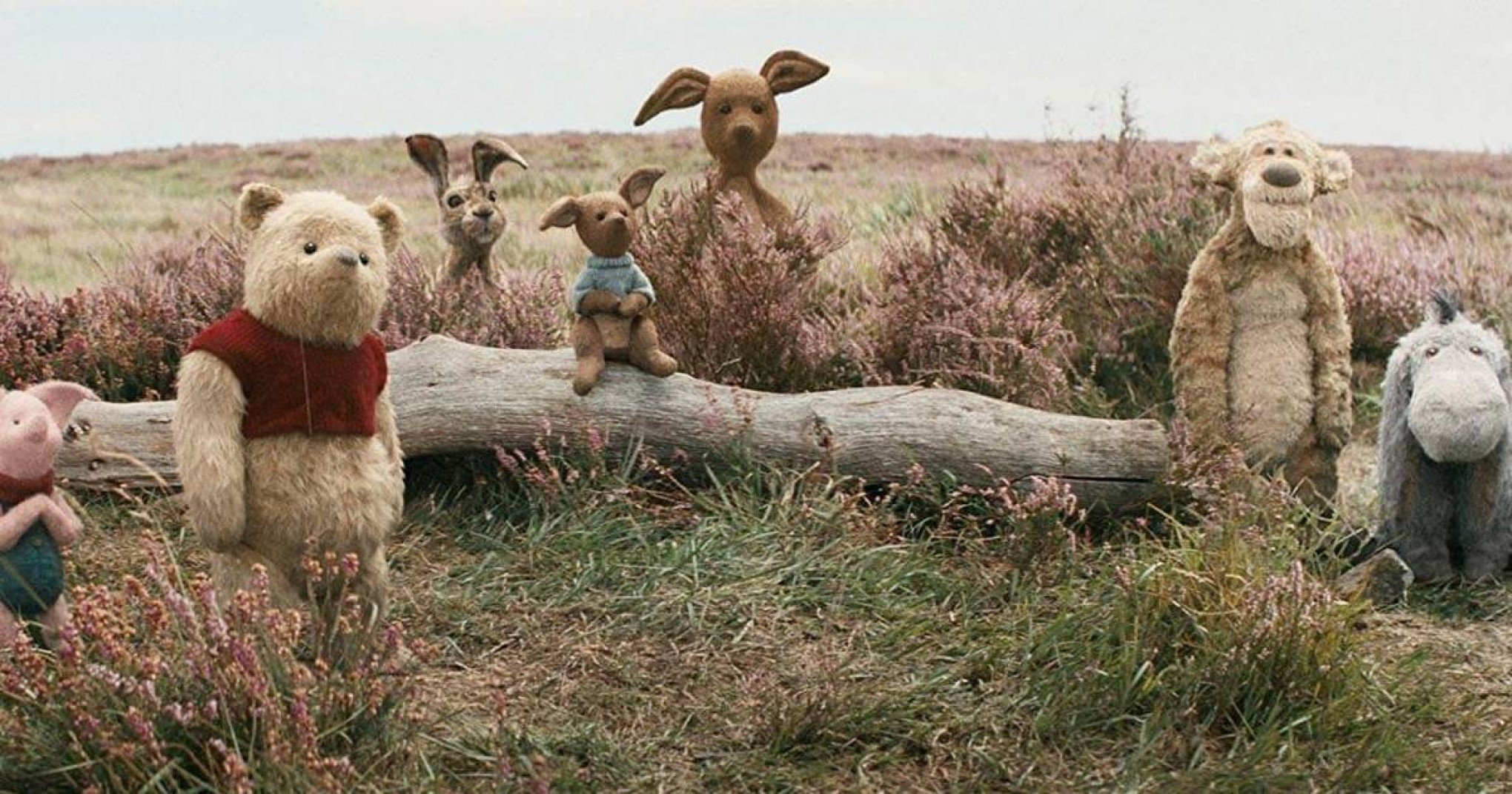 SESSÃO DA TARDE: TV Globo exibe o filme Christopher Robin - Um Reencontro Inesquecível nesta segunda-feira, 17 de julho