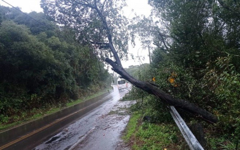 Motoristas devem trafegar com cautela na RSC-453, entre São Francisco de Paula e Caxias do Sul