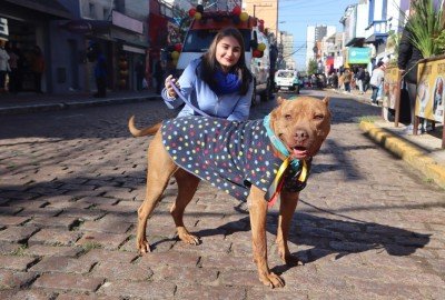 Cães disponíveis para adoção também estiveram no desfile 