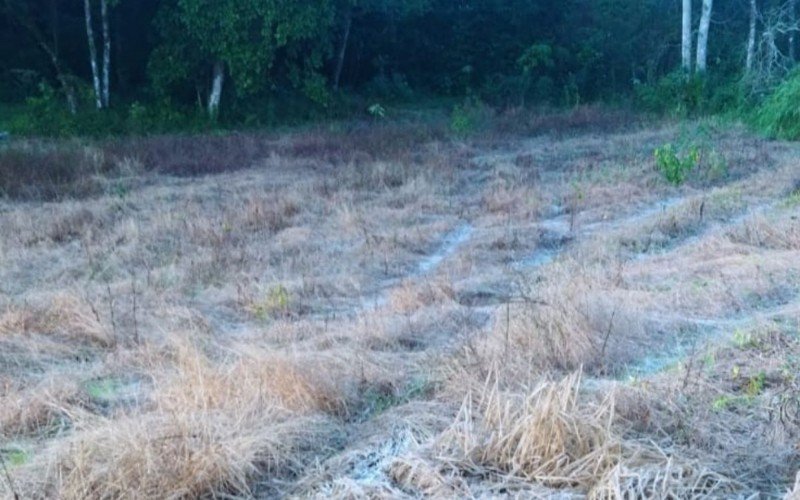 Área rural de Campo Bom teve geada neste sábado | Jornal NH