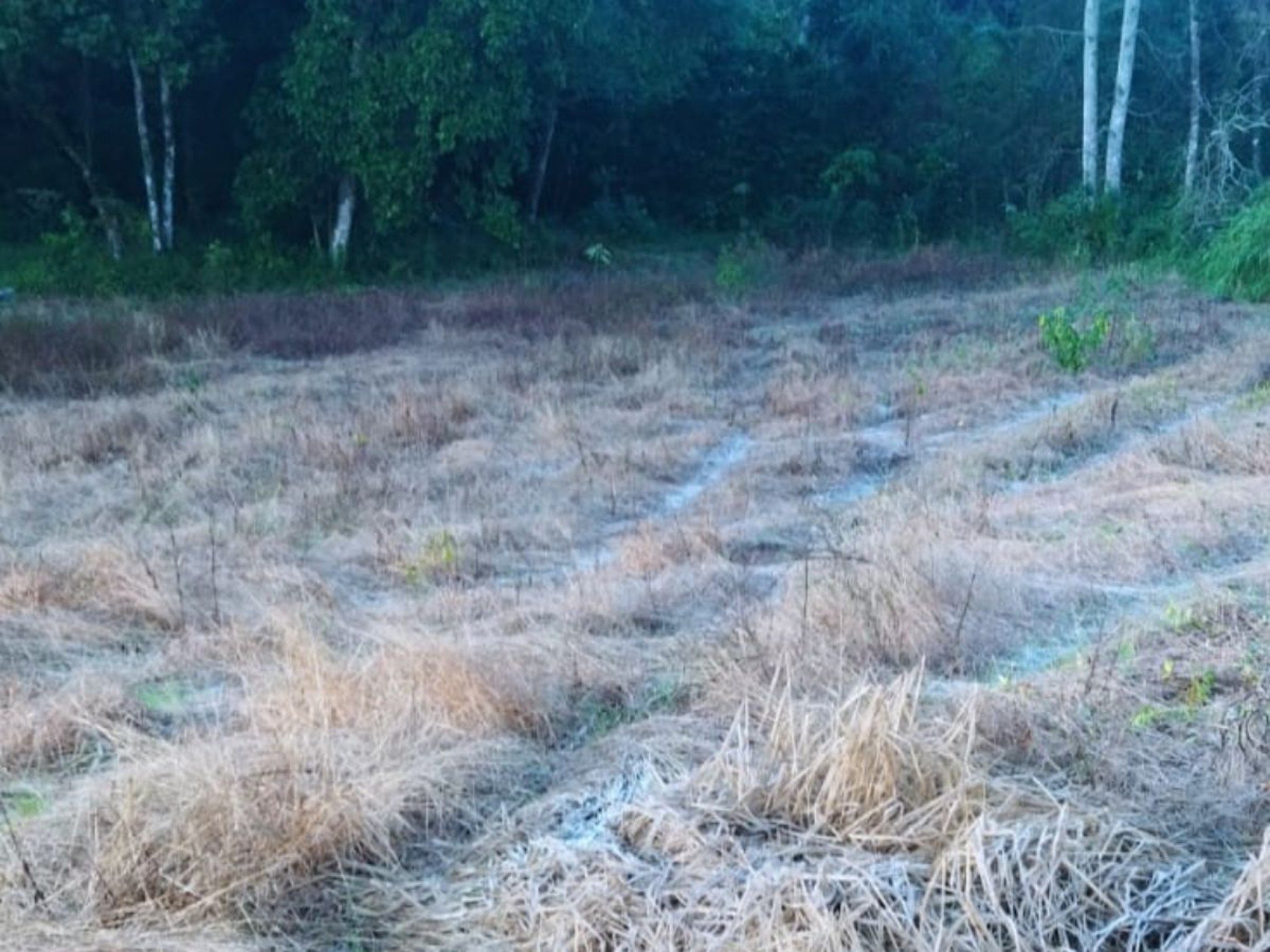 PREVISÃO DO TEMPO: Fim de semana começa com temperatura abaixo de zero; confira as cidades que tiveram marcas negativas