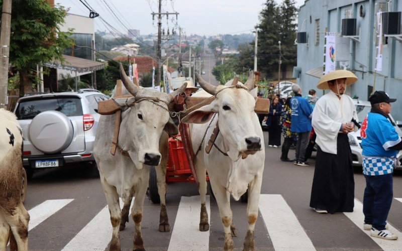 34Âª Kolonistenfest celebra a agricultura e leva tradiÃ§Ã£o para as ruas de Ivoti