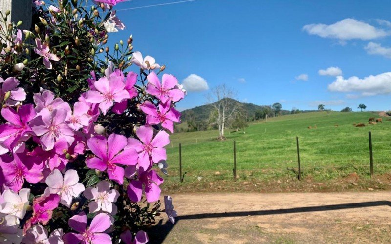 PREVISÃO DO TEMPO: Mínimas de inverno em novembro? Confira os registros deste domingo no Rio Grande do Sul | Jornal NH